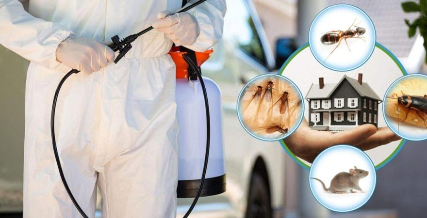 Çukurova Böcek İlaçlama