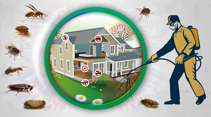 Çukurova Böcek İlaçlama