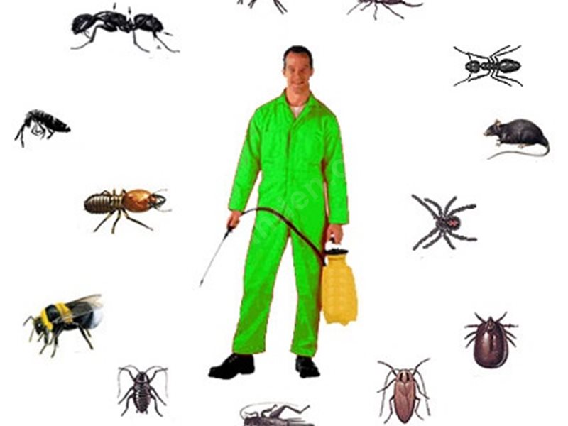 Çukurova Böcek İlaçlama